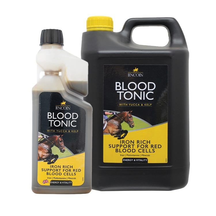 Lincoln Blood Tonic image 1